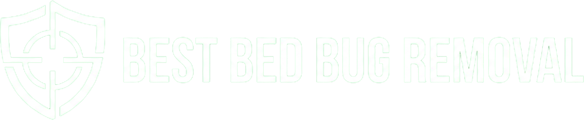 Best Bedbugremoval